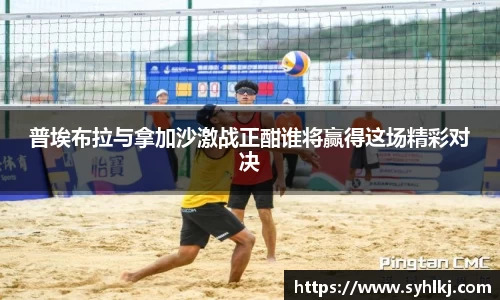 B体育bsports