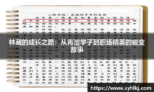 B体育官网