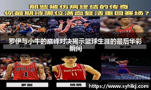 bsports官网