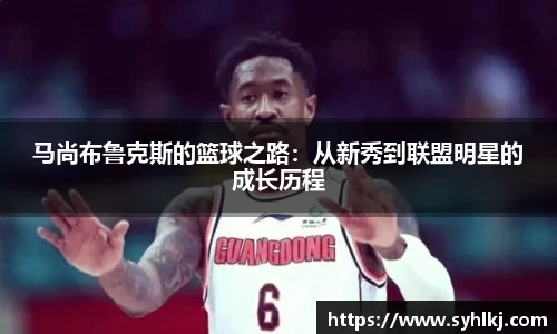 B体育bsports
