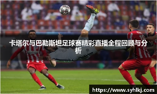 bsports官网入口