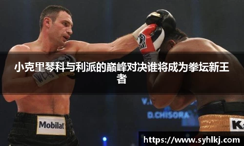 B体育官网