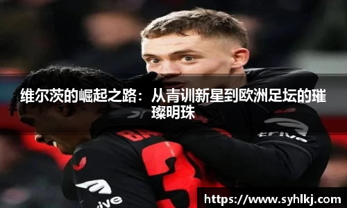 bsports官网入口